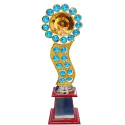 1720494940-h-250-trophy 300x300 35.jpg